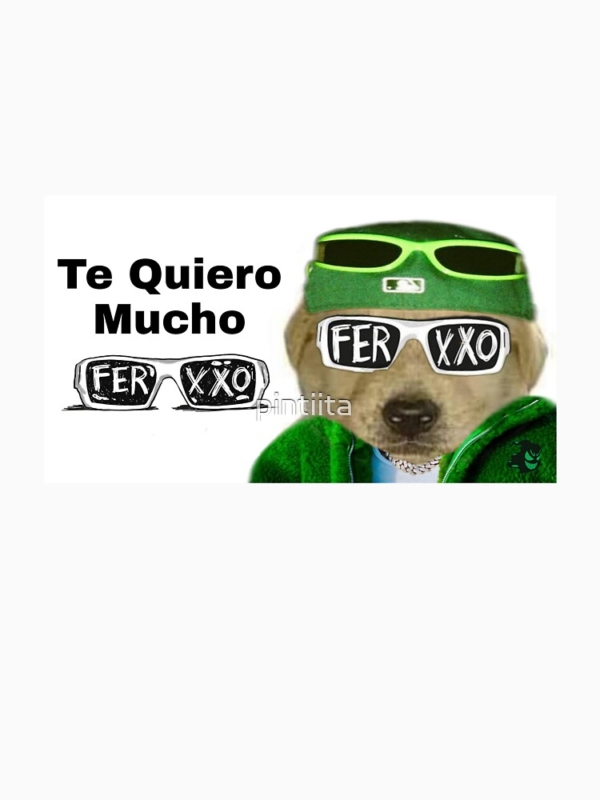 Feid T-Shirt I Love You Ferxxo Mucho Graphic T-Shirt 4